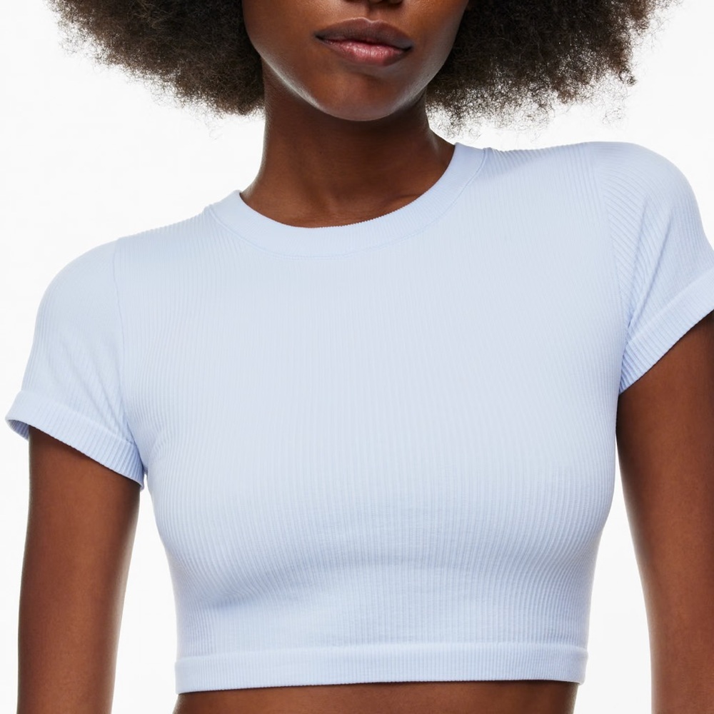 ARITZIA Seamless Sinch Rib Willow Cropped T-Shirt